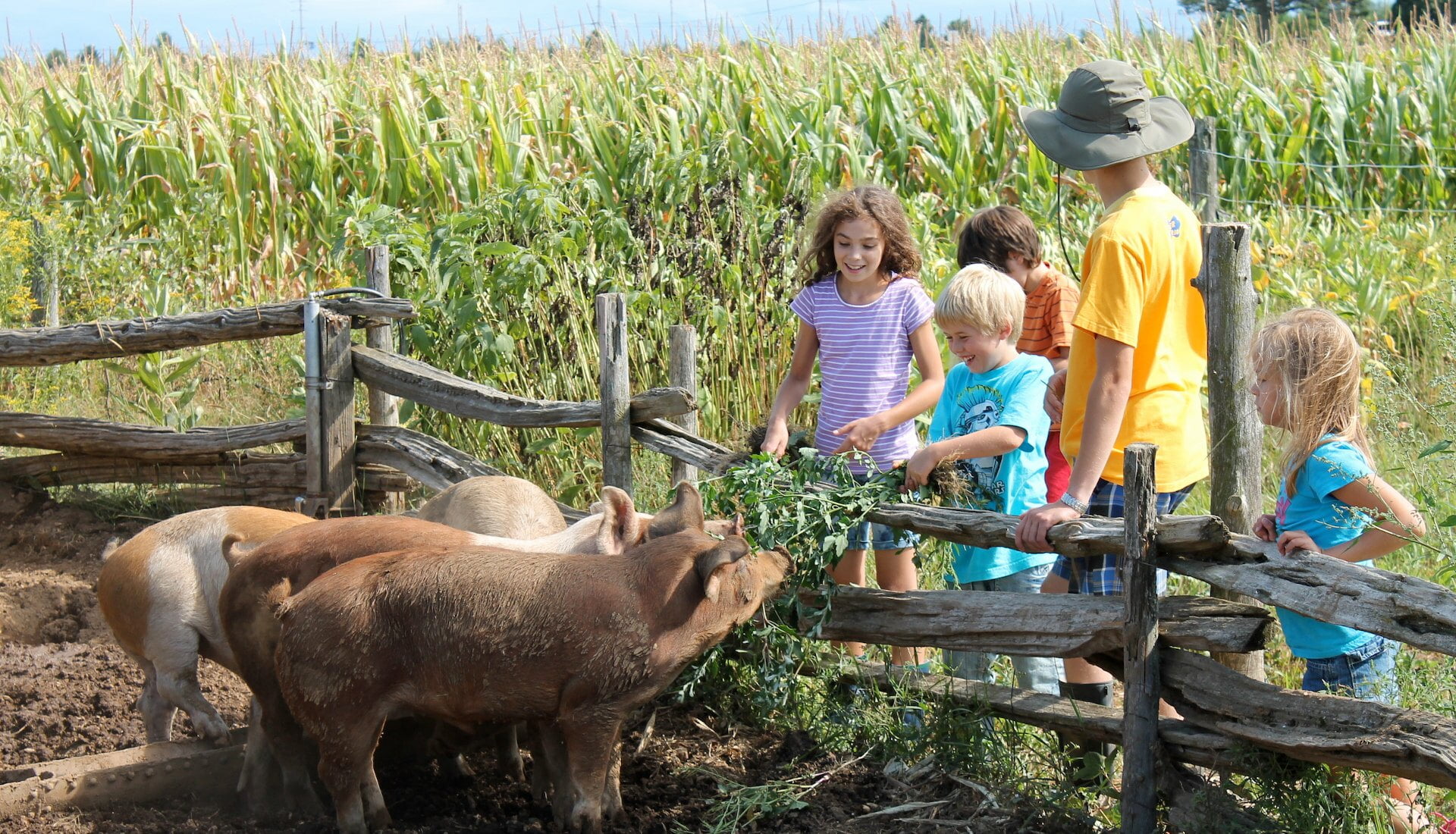 La Vie La Ferme Une Immersion Marquante Et Importante Expo Manger 