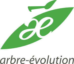 Arbre-évolution