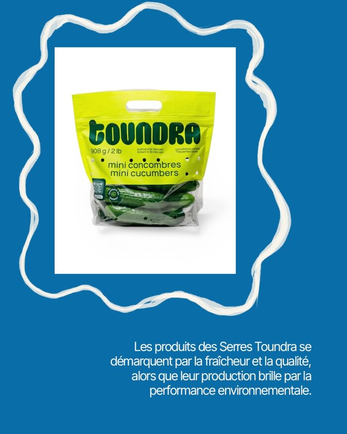 Templify-3F296723-F89B-4FC1-8DEA-0E7BAD053265i