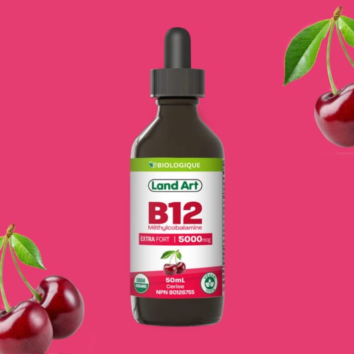 B12