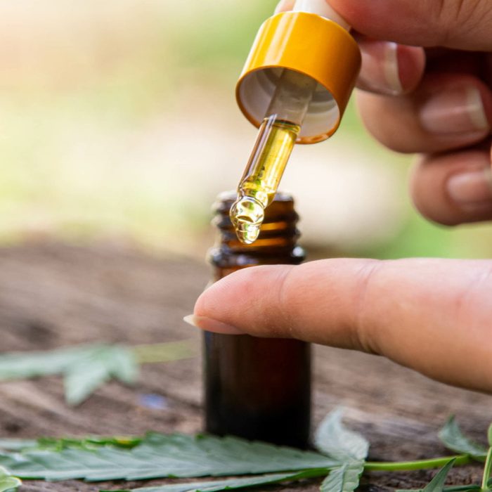 The ‘oil cannabis extract is used to treat cancer patients or medical use.